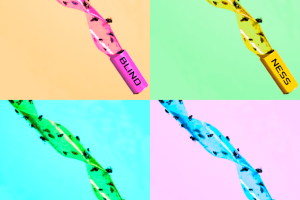 Blindness & Light - Fly Paper_text_2000