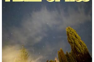 Processed with MOLDIV