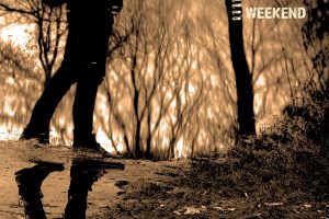 Every Other Weekend - Come Back When You Feel Like