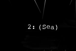 Kai Moa - (Sea)_2500