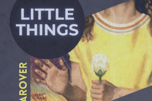 LunaRover - Little Things_1000005401