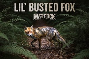 Mattock - Lil' Busted Fox