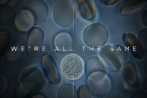 My Glass World - We're All The Same