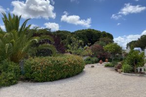 Scotts Tees - We Move As Fast As Storms Allow_IMG_0429