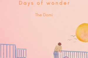 The Domi - Days of Wonder