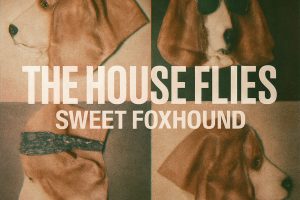The House Flies - Sweet Foxhound_SmallerFinalArtwork
