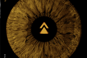 The Trusted – Levitate_Screenshot_2025-09-26_at_114528 The Trusted - Levitate_Screenshot_2025-09-26_at_114528