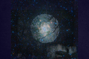 Yasu Cub - picking at grass_2026_final_4